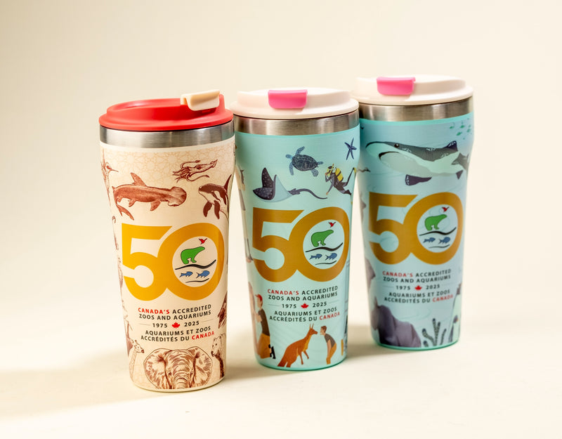 Custom branded corporate drinkware by LAMOSE